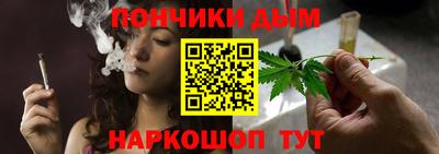 индика Заводоуковск