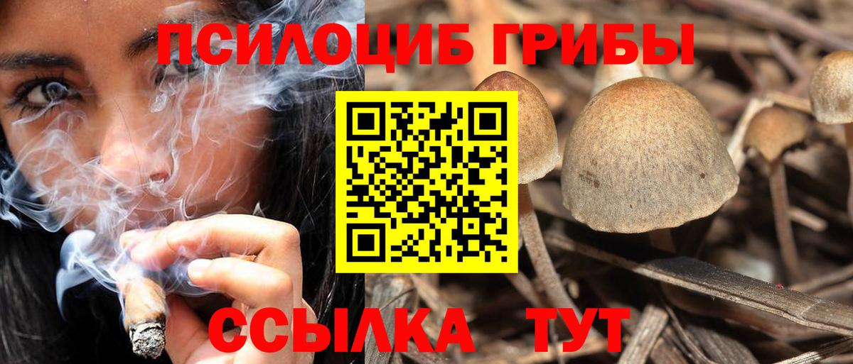 Псилоцибиновые грибы MAGIC MUSHROOMS Магадан